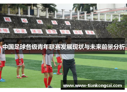 中国足球各级青年联赛发展现状与未来前景分析