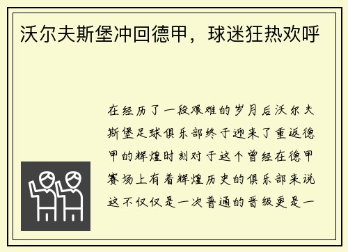 沃尔夫斯堡冲回德甲，球迷狂热欢呼